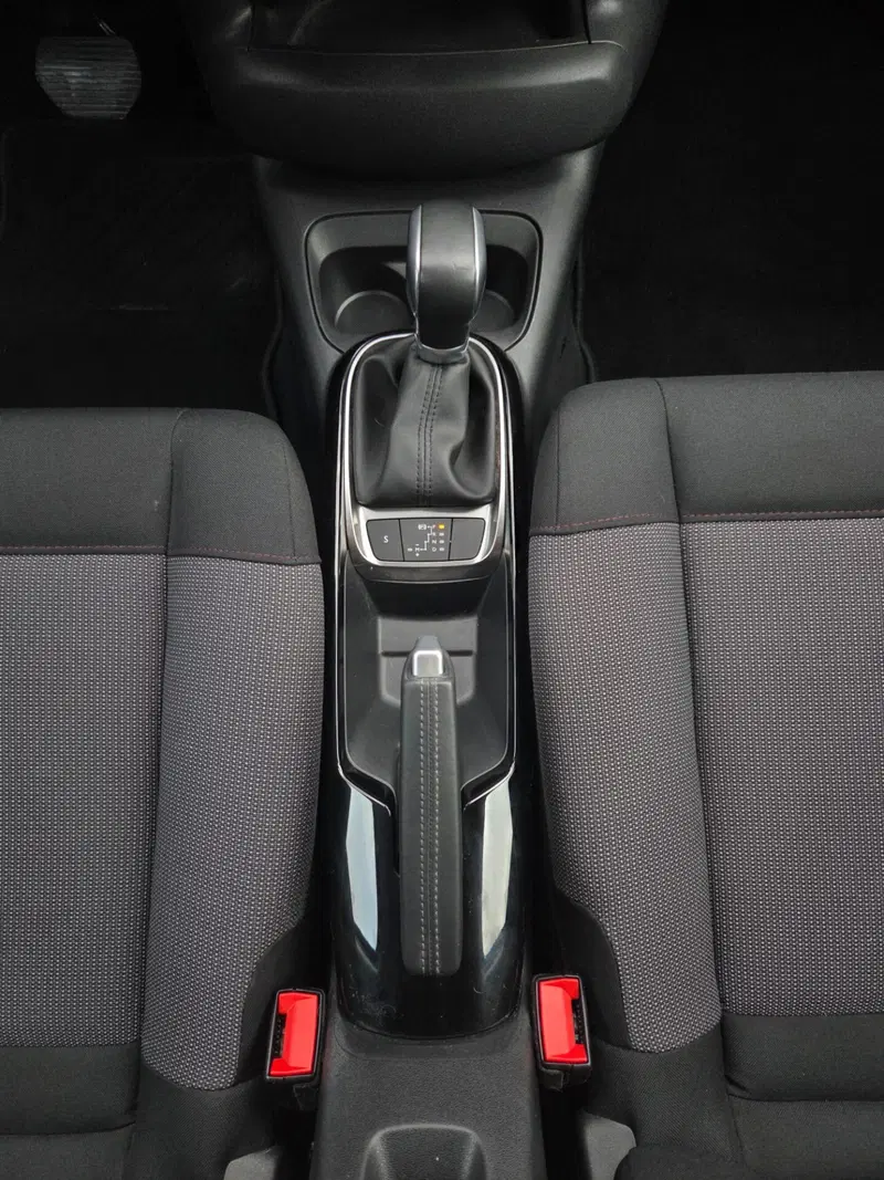 Citroen C4 Cactus usata a Torino (17)