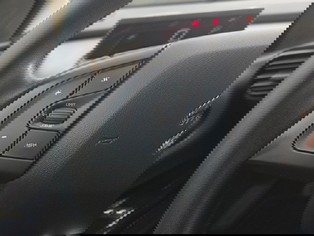 Citroen C4 Cactus usata a Torino (18)