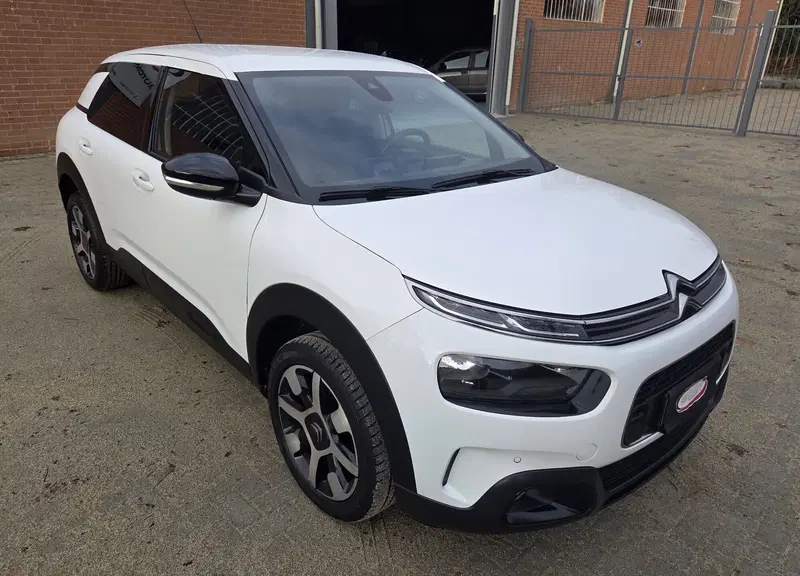 Citroen C4 Cactus usata a Torino (2)