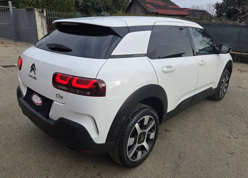 Citroen C4 Cactus usata a Torino (3)