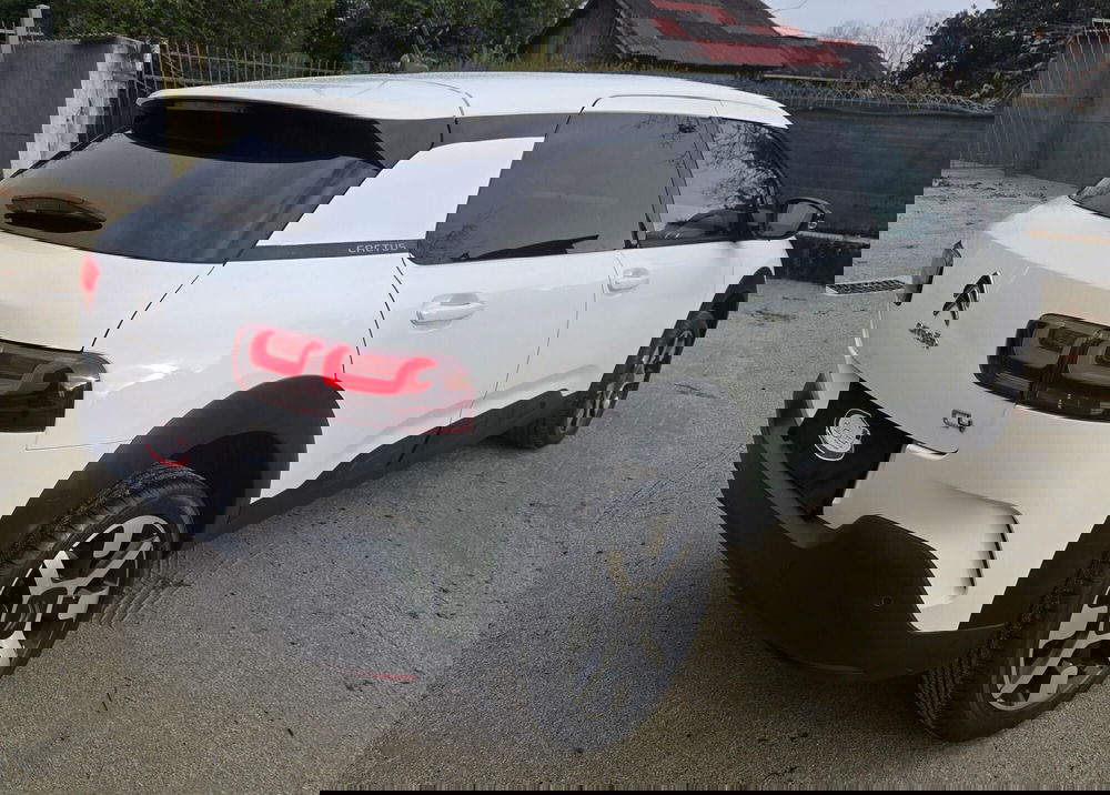 Citroen C4 Cactus usata a Torino (3)