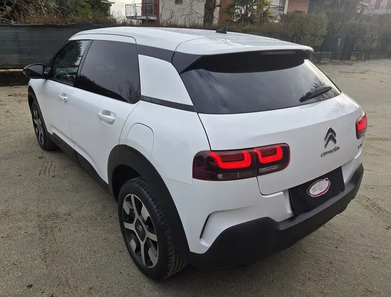 Citroen C4 Cactus usata a Torino (4)