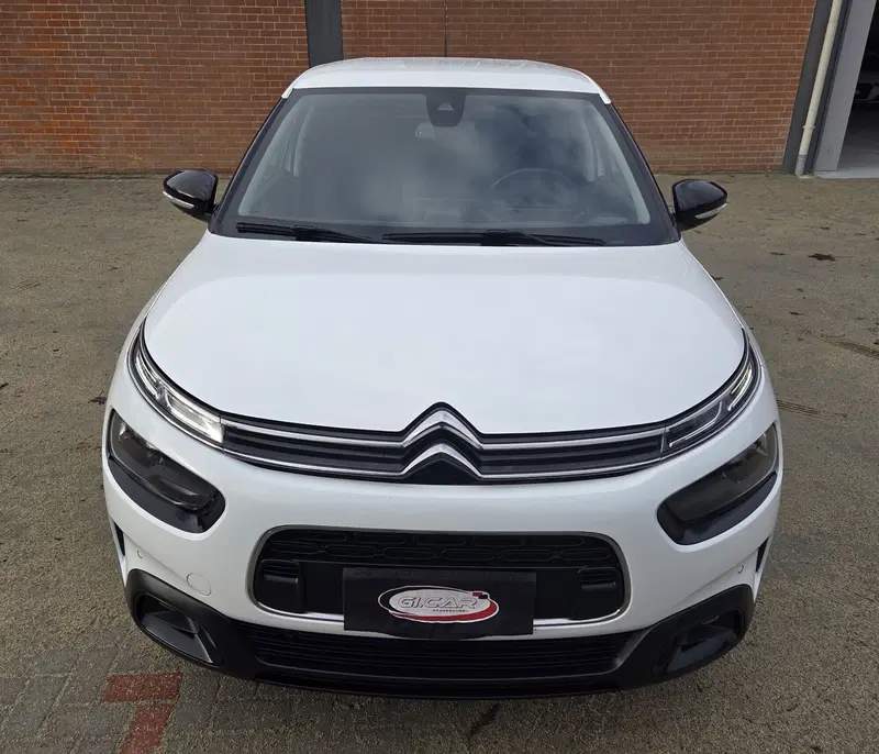 Citroen C4 Cactus usata a Torino (5)