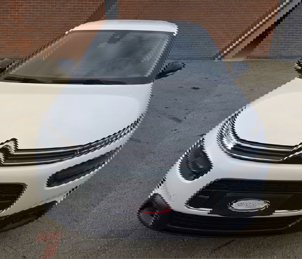 Citroen C4 Cactus usata a Torino (5)