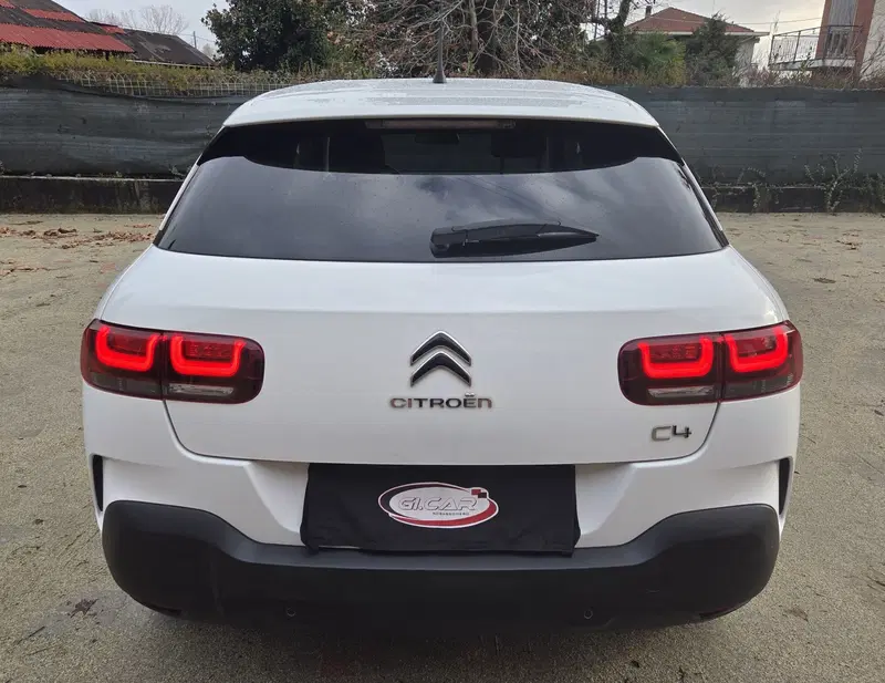 Citroen C4 Cactus usata a Torino (6)