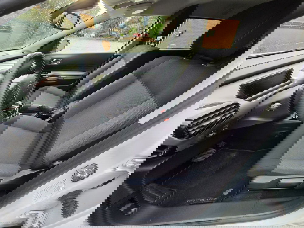 Citroen C4 Cactus usata a Torino (7)