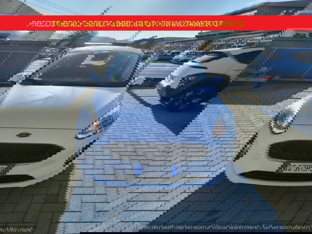 Ford Fiesta usata a Firenze (2)