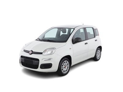 Fiat Panda 1.2 EasyPower Easy del 2019 usata a Bari