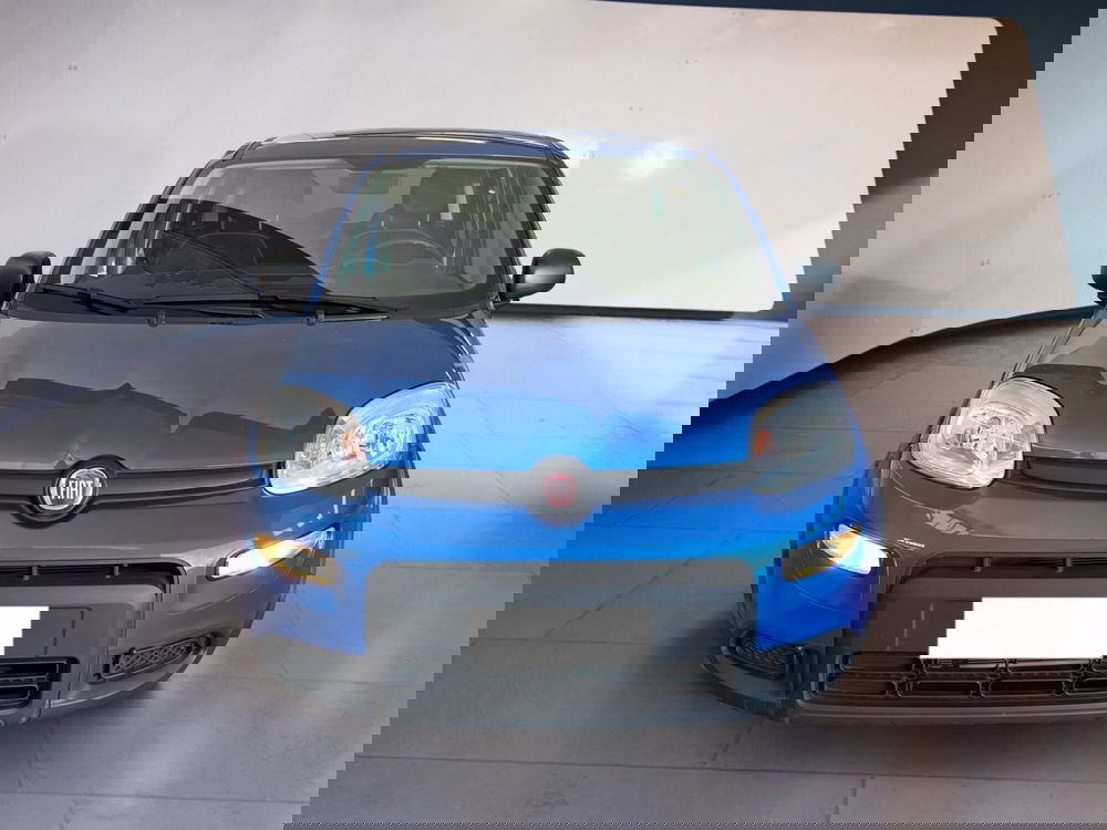 Fiat Panda usata a Torino