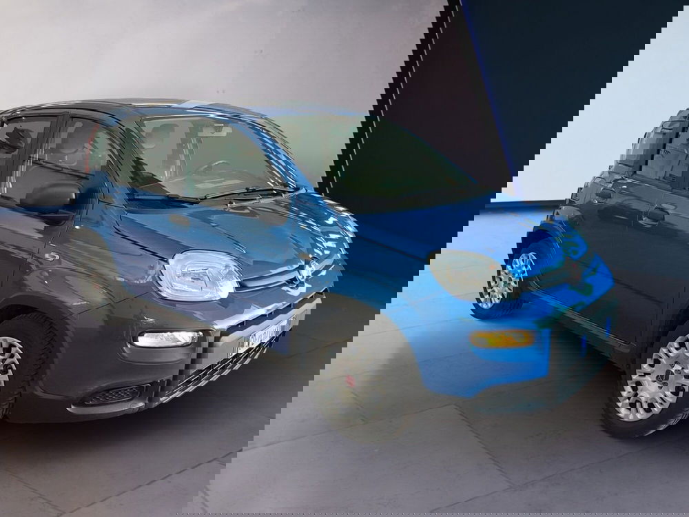 Fiat Panda usata a Torino (2)