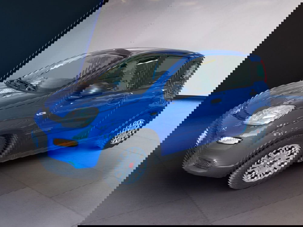 Fiat Panda usata a Torino (3)