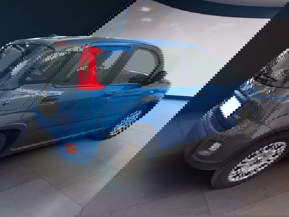 Fiat Panda usata a Torino (6)