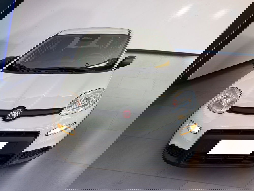 Fiat Panda Cross usata a Torino