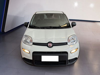 Fiat Panda Cross Cross 1.0 FireFly S&amp;S Hybrid del 2024 usata a Torino