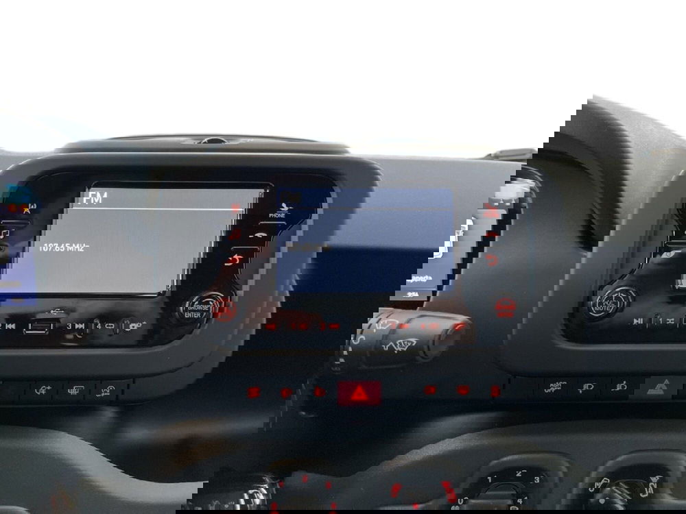 Fiat Panda Cross usata a Torino (11)