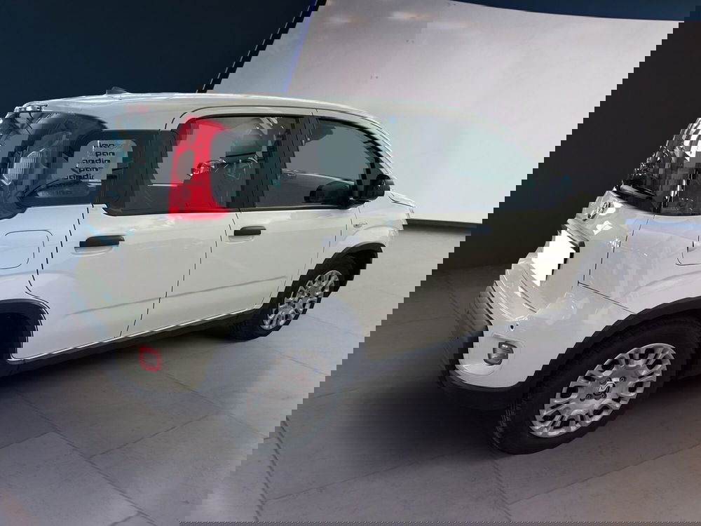 Fiat Panda Cross usata a Torino (4)