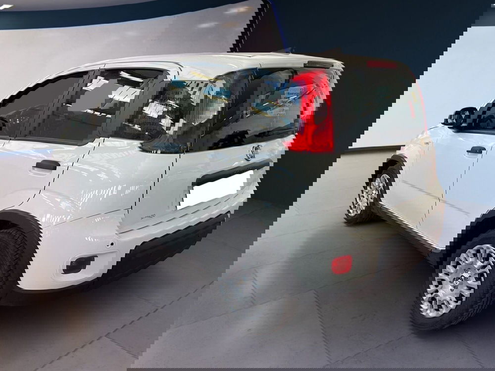 Fiat Panda Cross usata a Torino (6)