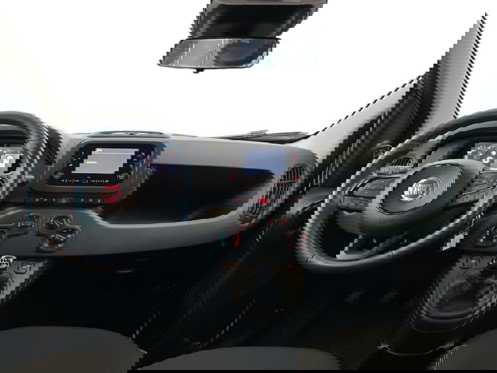 Fiat Panda Cross usata a Torino (9)