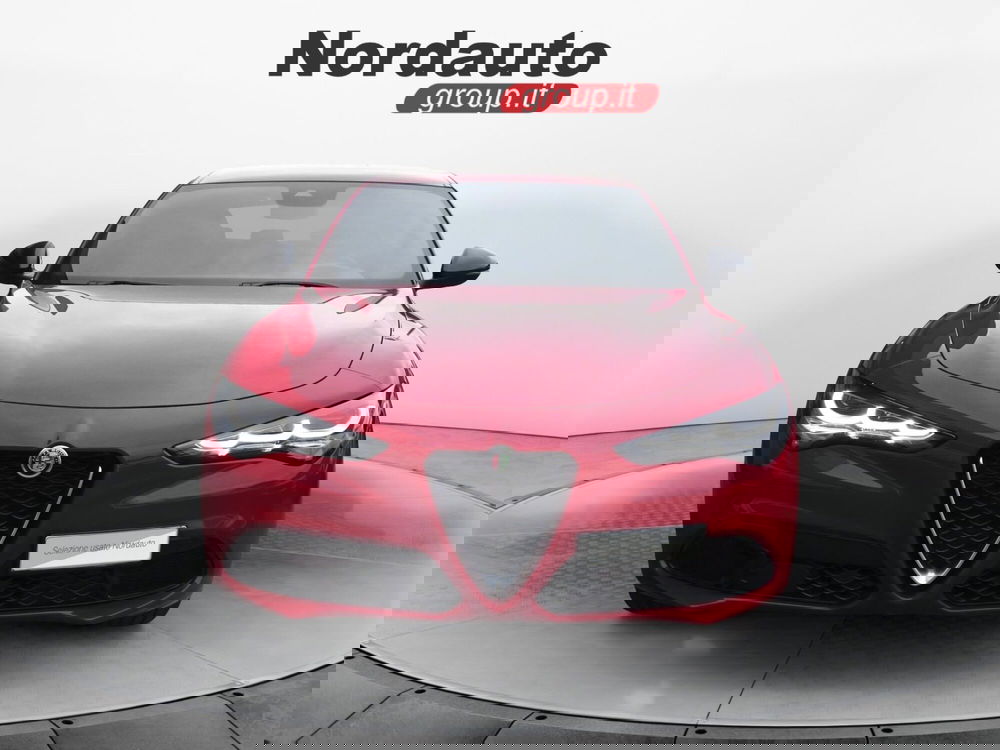 Alfa Romeo Stelvio usata a Treviso (2)