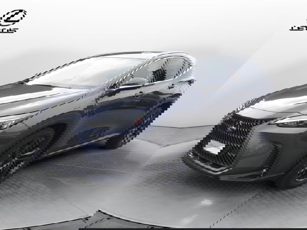 Lexus NX usata a Treviso