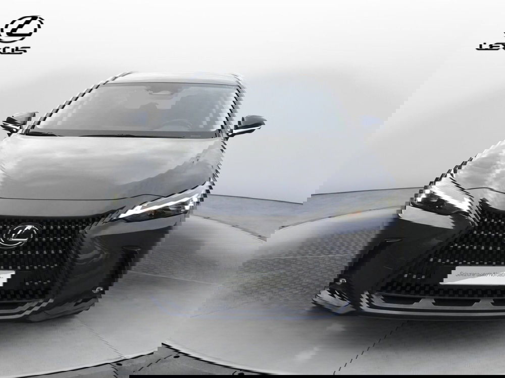 Lexus NX usata a Treviso (2)