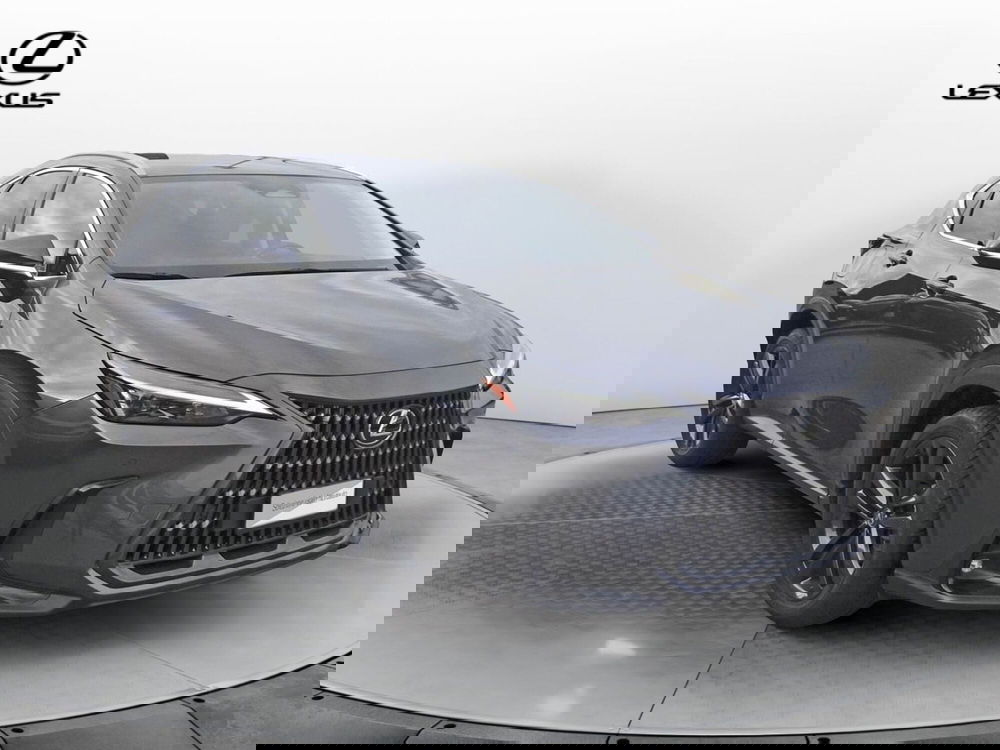 Lexus NX usata a Treviso (3)