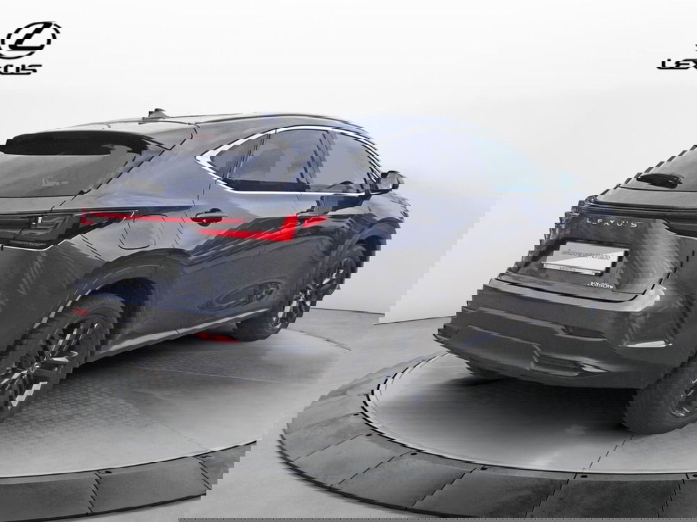 Lexus NX usata a Treviso (5)