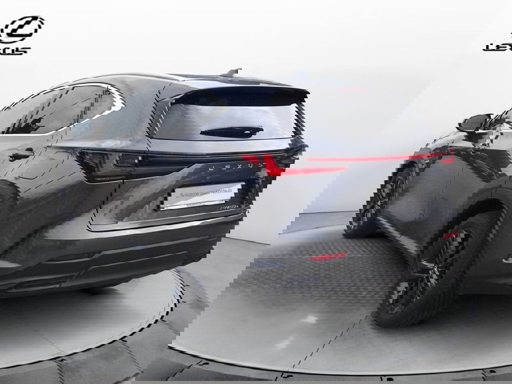 Lexus NX usata a Treviso (7)