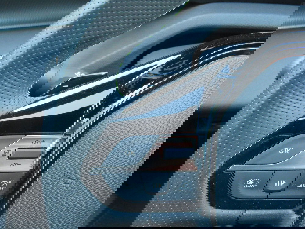 Peugeot 308 SW usata a Monza e Brianza (14)