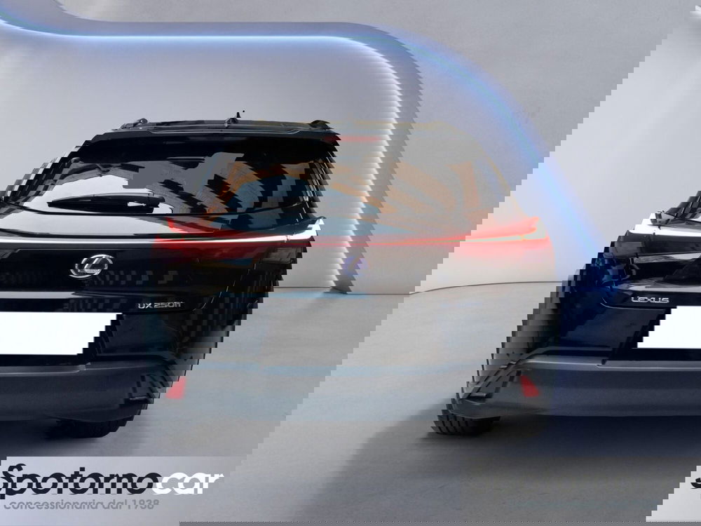 Lexus UX usata a Milano (5)