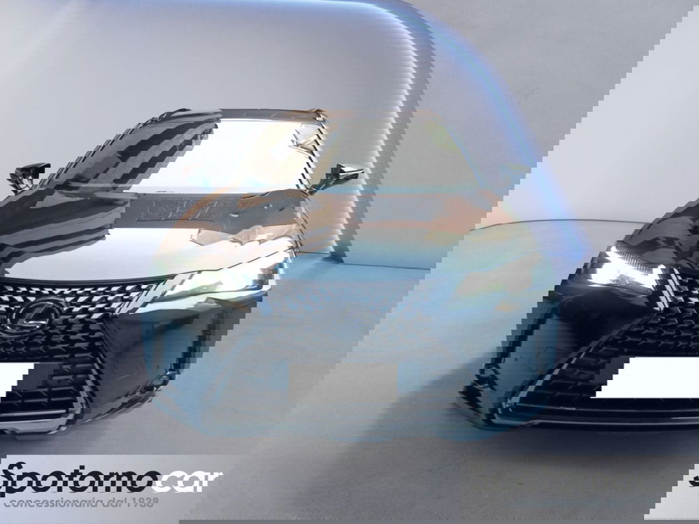 Lexus UX usata a Milano (9)