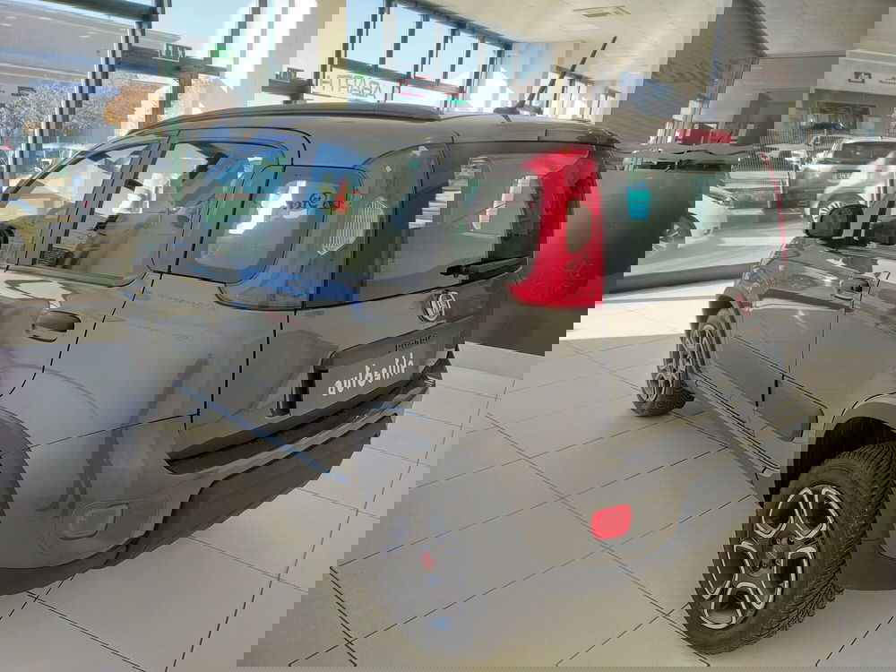 Fiat Panda usata a Reggio Emilia (6)