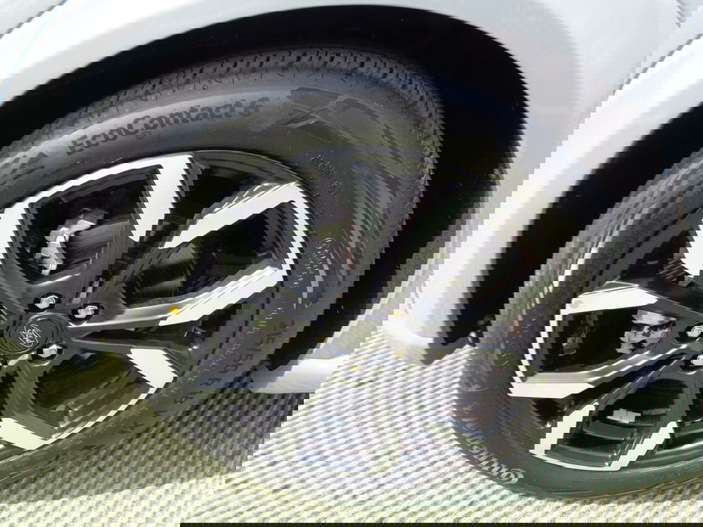 Ford Puma usata a Belluno (6)