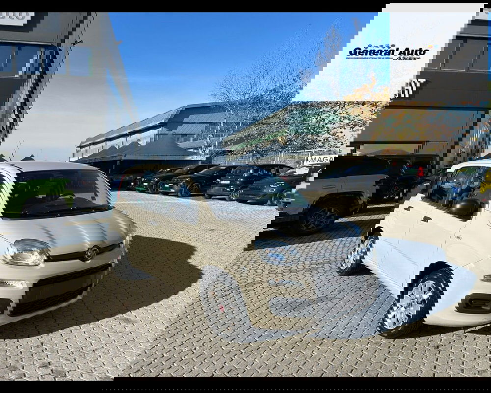 Fiat Panda usata a Lucca