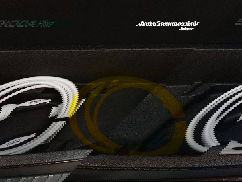 Skoda Kodiaq usata a Bologna (11)