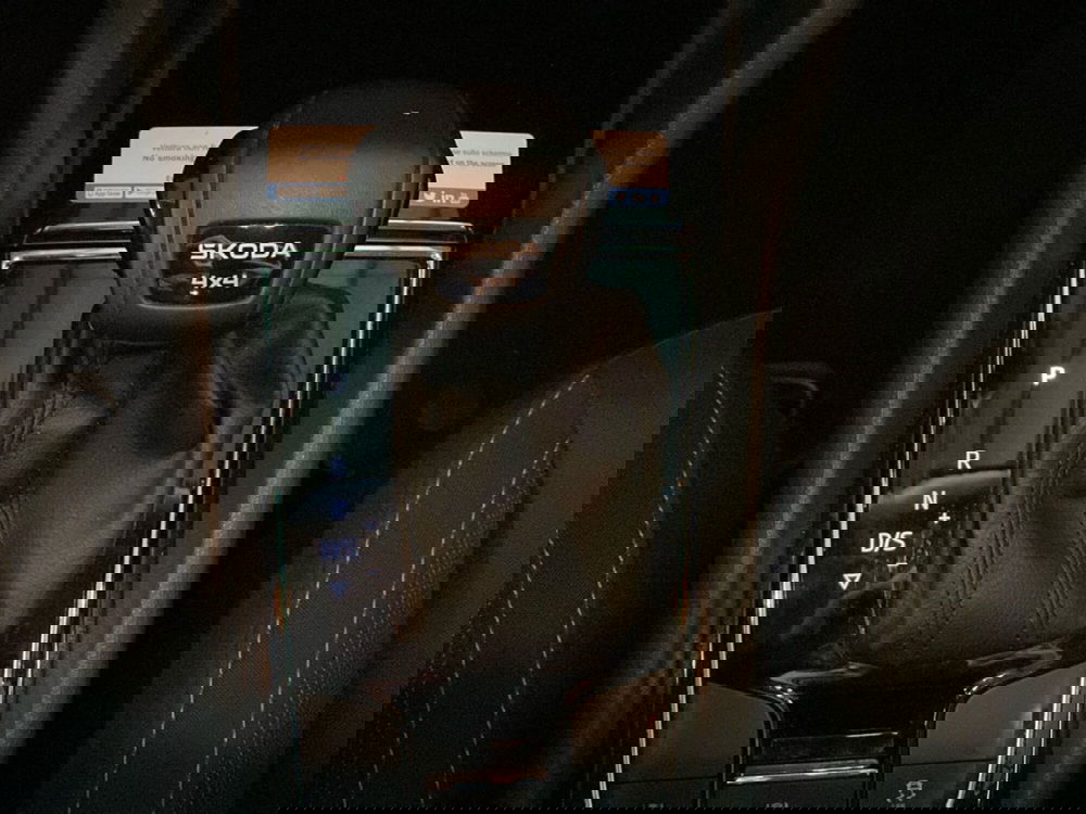 Skoda Karoq usata a Reggio Calabria (19)