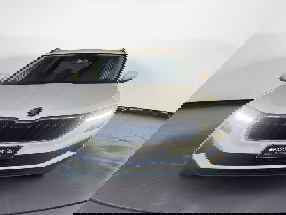 Skoda Karoq usata a Reggio Calabria (2)