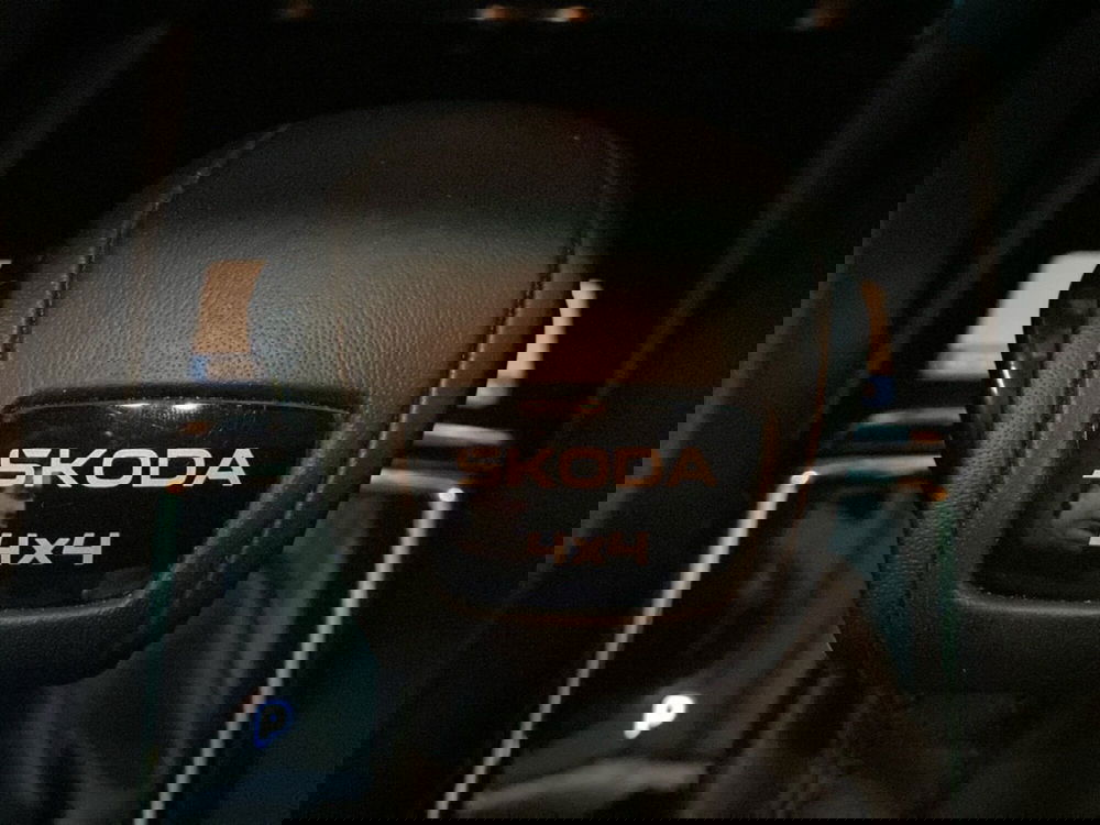 Skoda Karoq usata a Reggio Calabria (20)