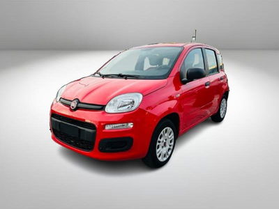 Fiat Panda 1.2 Connected by Wind del 2019 usata a Sesto Fiorentino