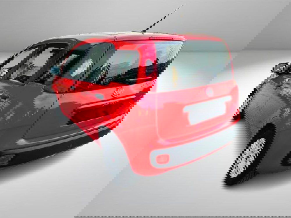 Fiat Panda usata a Firenze (2)