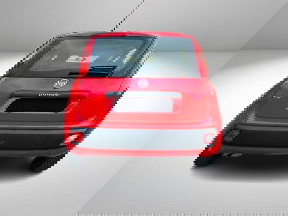 Fiat Panda usata a Firenze (4)