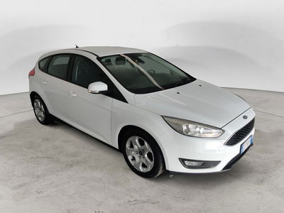 Ford Focus 1.5 TDCi 120 CV Start&amp;Stop Business del 2016 usata a Arezzo