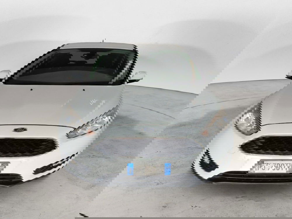 Ford Focus usata a Arezzo (2)