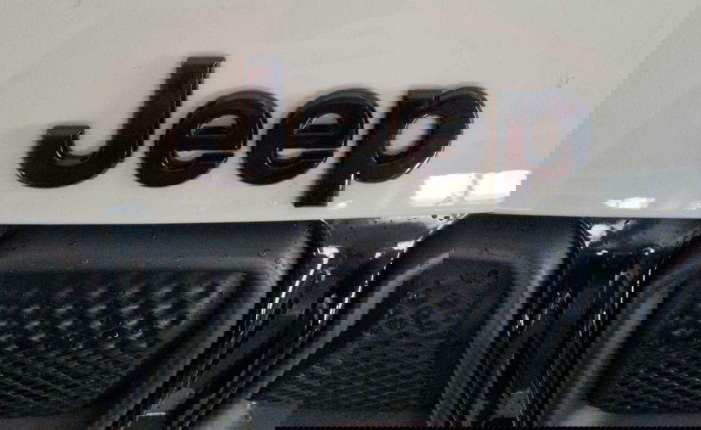 Jeep Compass usata a Terni (20)