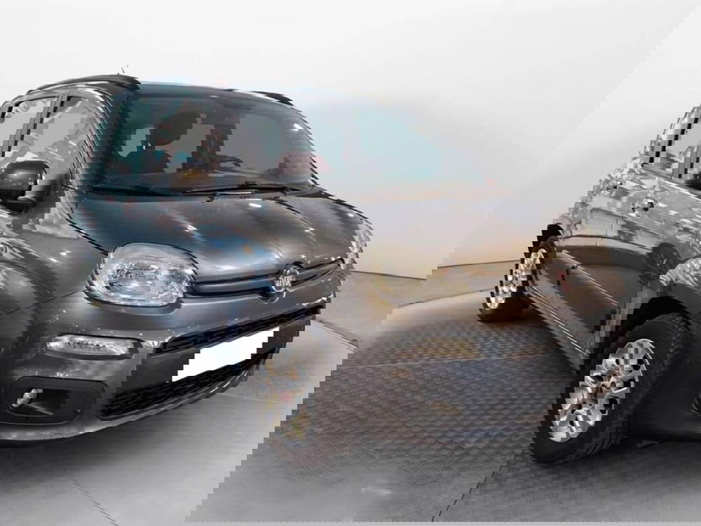 Fiat Panda usata a Torino (3)