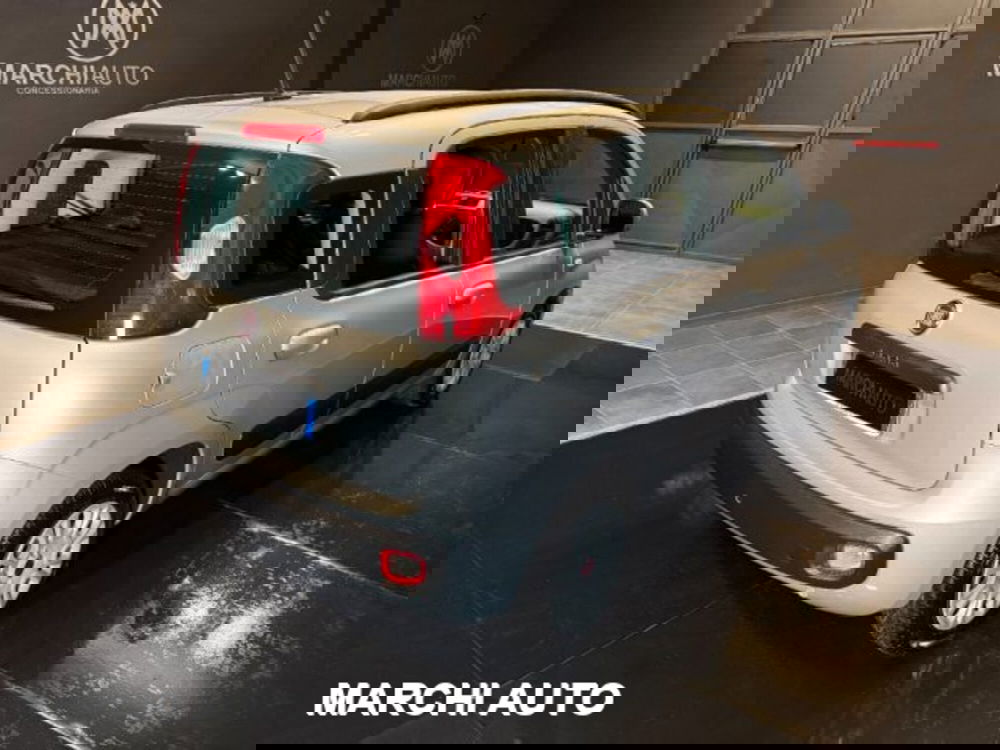 Fiat Panda usata a Perugia (5)