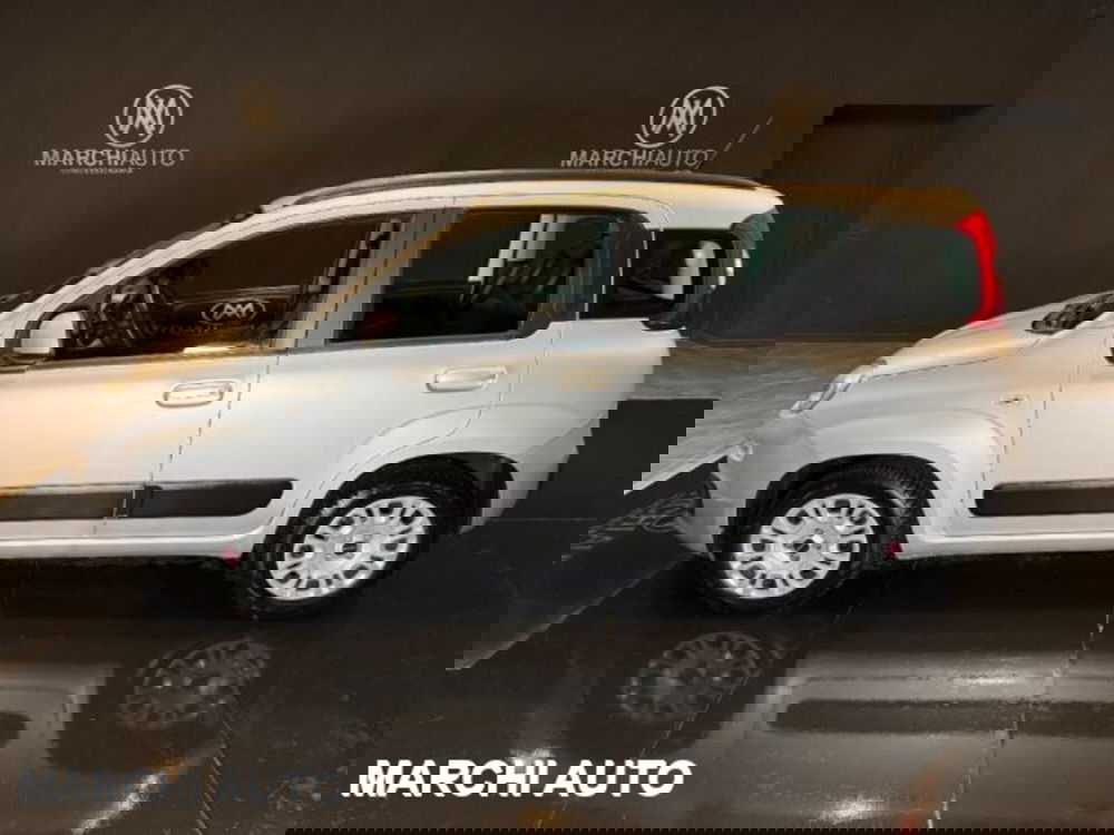 Fiat Panda usata a Perugia (8)