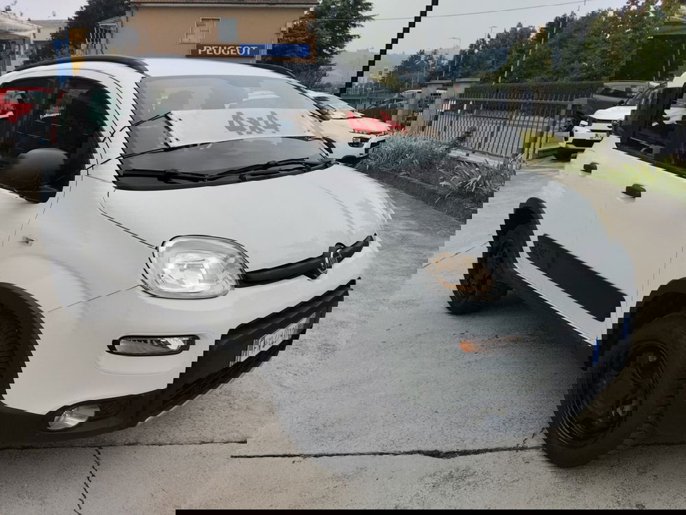 Fiat Panda usata a Asti (2)