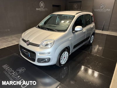 Fiat Panda 1.2 Lounge del 2020 usata a Bastia Umbra