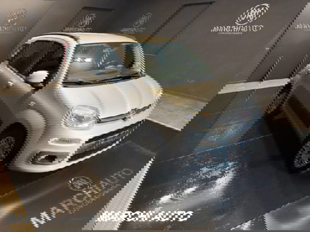 Fiat Panda usata a Perugia (3)